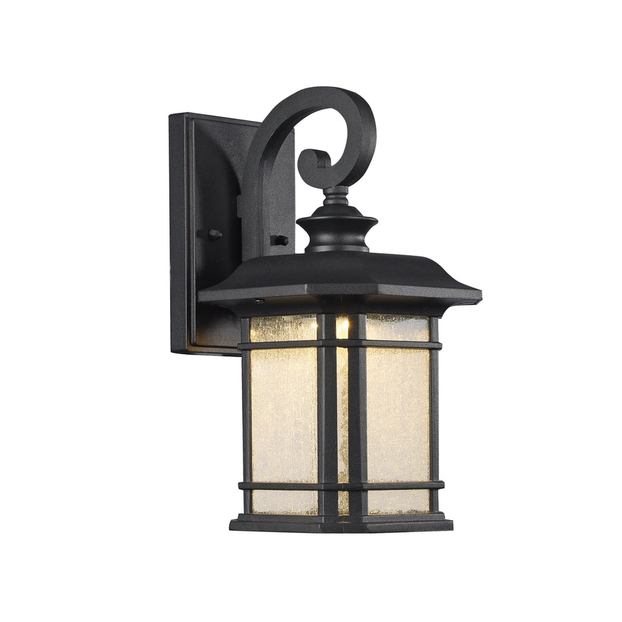 CH22L21BK13-OD1 LED Outdoor Sconce