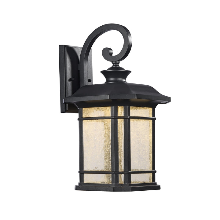 CH22L21BK17-OD1 LED Outdoor Sconce