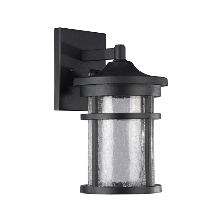 CH22L52BK11-OD1 LED Outdoor Sconce