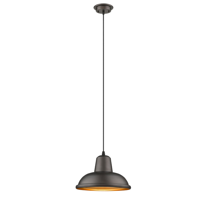 CH2D091RB10-DP1 Mini Pendant