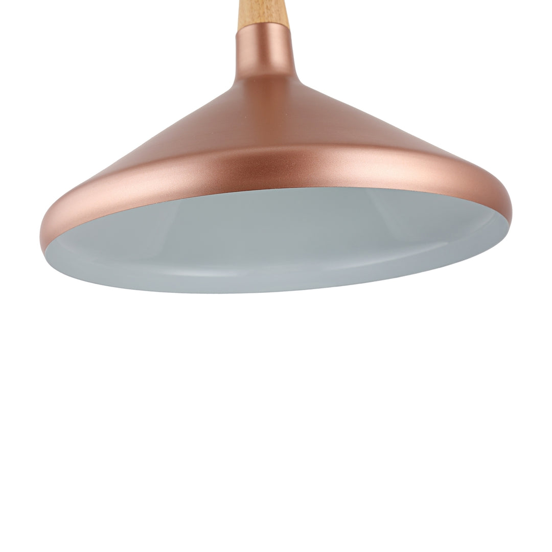 CH8S929RG15-DP1 Mini Pendant