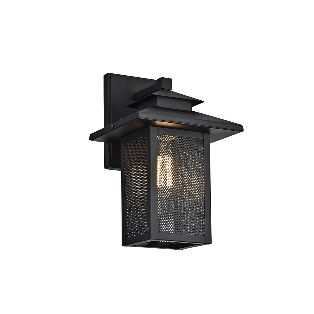 CH2S201BK13-OD1 Outdoor Wall Sconce