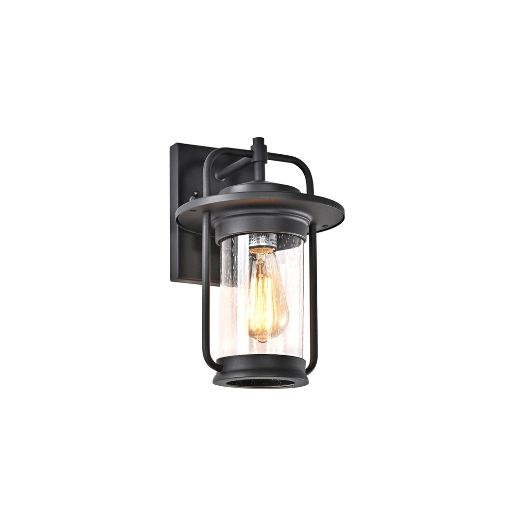 CH2S212BK13-OD1 Outdoor Wall Sconce