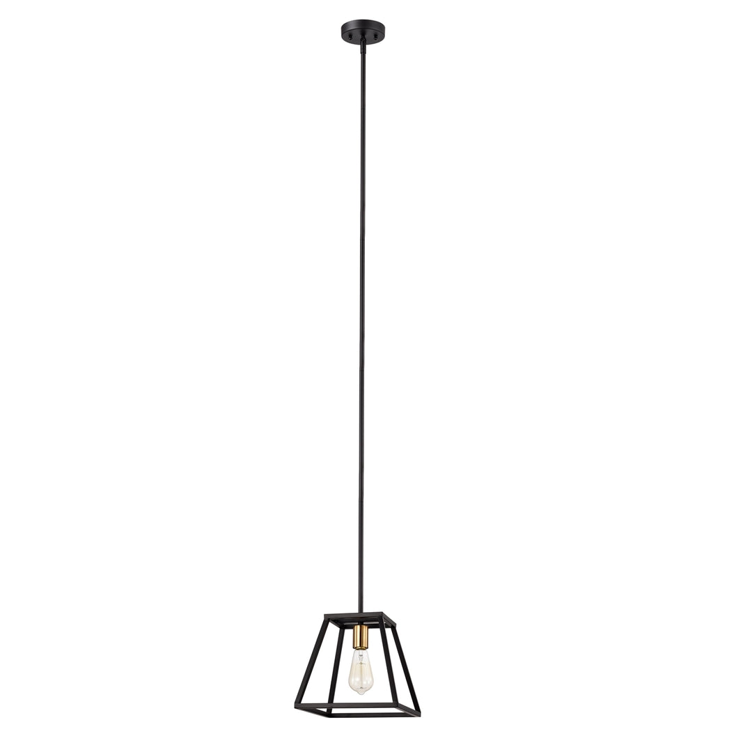 CH2D008BK10-DP1 Mini Pendant