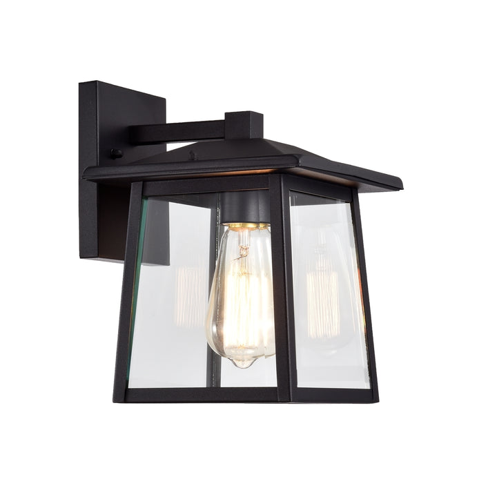 CH2S220BK11-OD1 Outdoor Wall Sconce