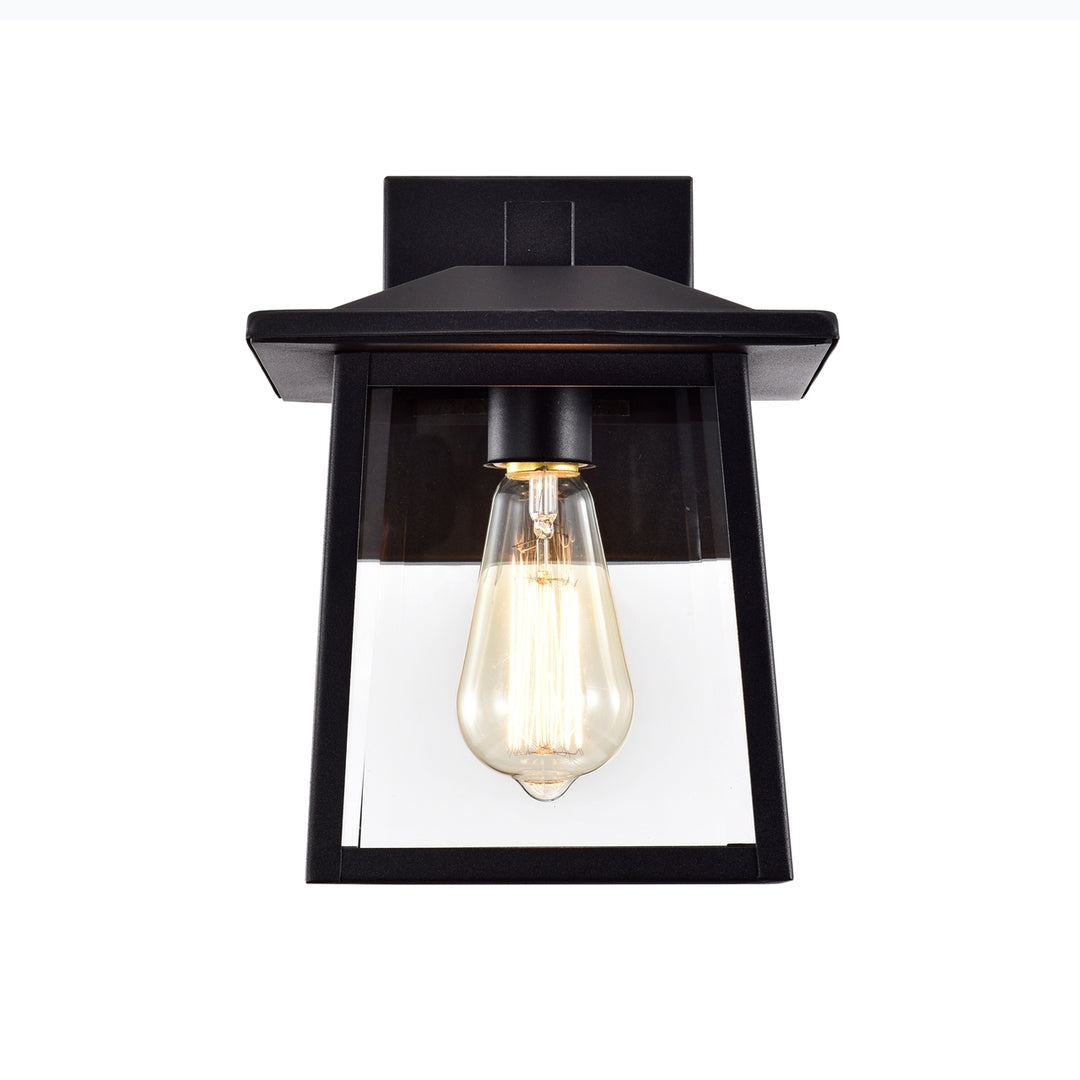 CH2S220BK11-OD1 Outdoor Wall Sconce