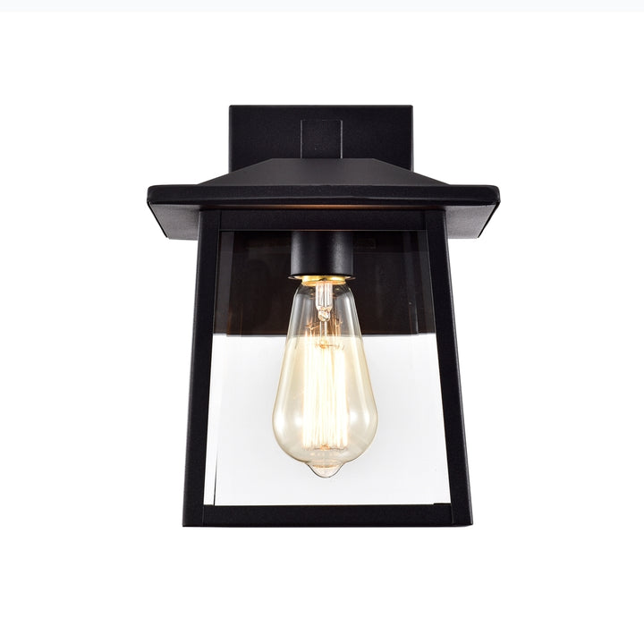 CH2S220BK11-OD1 Outdoor Wall Sconce