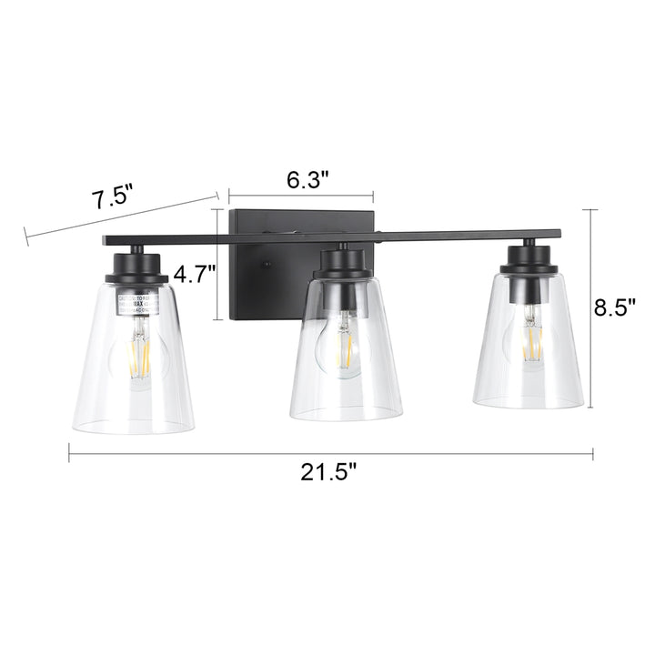 CH6S101BK22-BL3 Bath Vanity Fixture