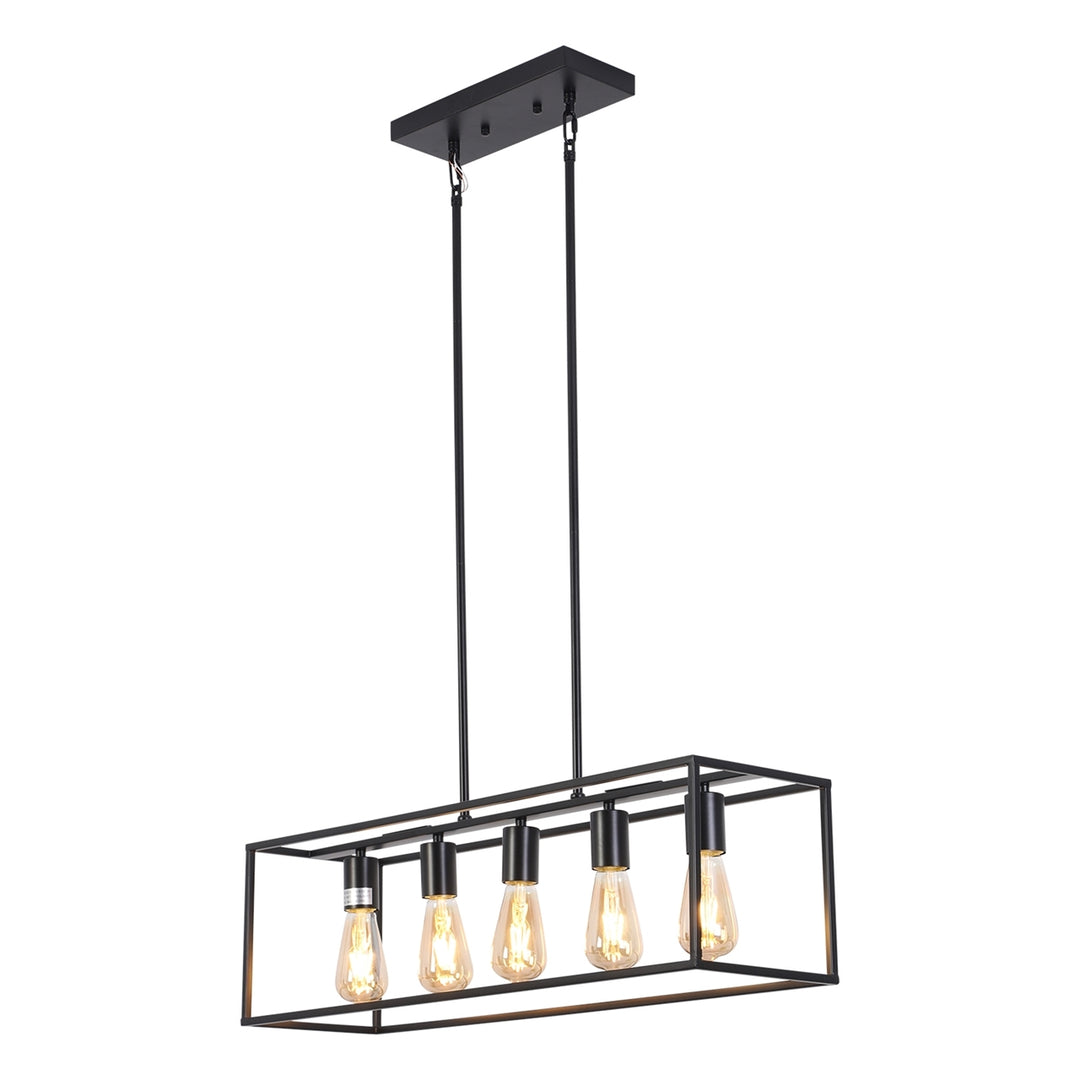 CH6D801BK33-DP5 Large Pendant