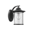 Picture of CH22050BK11-OD1 Outdoor Sconce