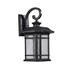 Picture of CH22L21BK17-OD1 LED Outdoor Sconce