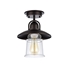 Picture of CH54051RB09-SF1 Semi-flush Ceiling Fixture