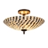 Picture of CH3C016BW16-UF2 Semi-flush Ceiling Fixture