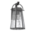 Picture of CH2D294BK12-OD1 Outdoor Sconce