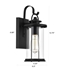 Picture of CH2D213BK13-OD1 Outdoor Wall Sconce