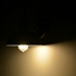 Picture of CH2D701RD09-WS1 Wall Sconce