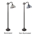 Picture of CH3T381VB11-RF1 Reading Floor Lamp